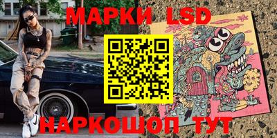 стаф Тверь