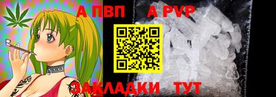 прущие крисы Тара