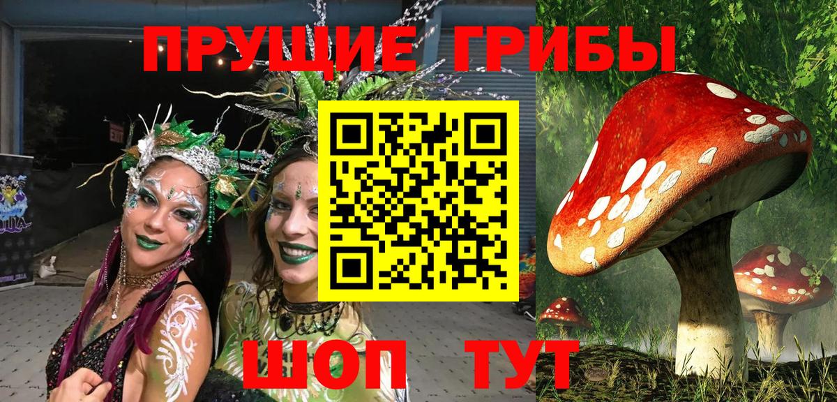 Псилоцибиновые грибы Psilocybe  Галлюциногенные грибы мицелий  Острогожск  Вход с VPN 