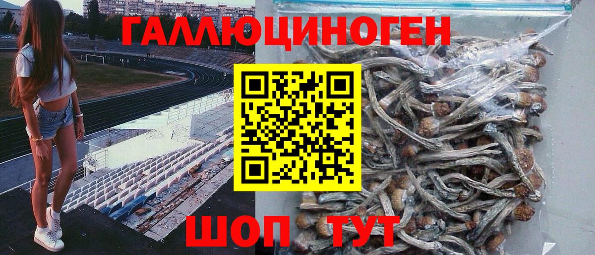 Псилоцибиновые грибы ЛСД Острогожск